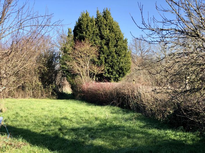 Image No.2-2 Bed House for sale