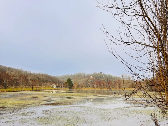 Image No.5-Barn for sale