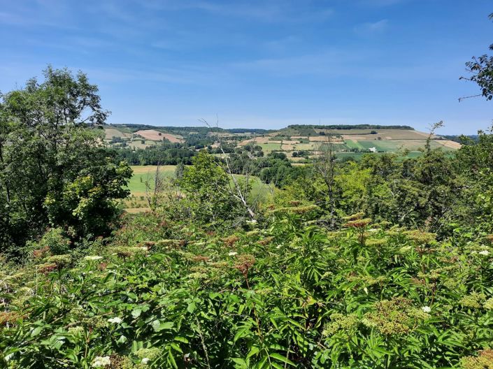 Image No.13-2 Bed House for sale