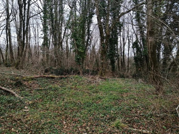 Image No.11-3 Bed House for sale