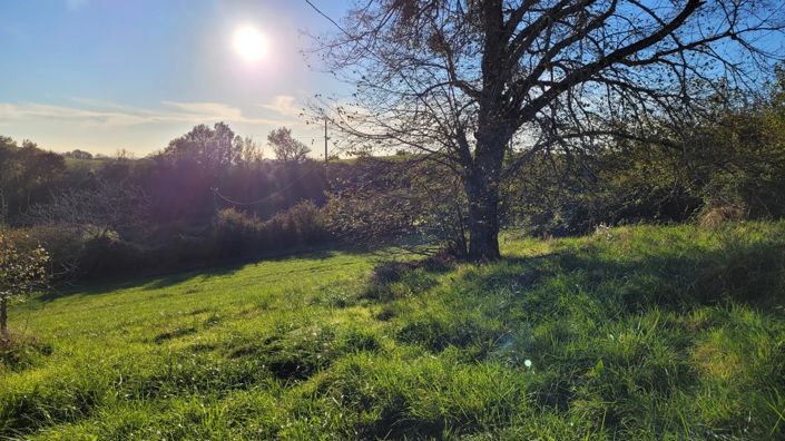 Image No.13-3 Bed House for sale