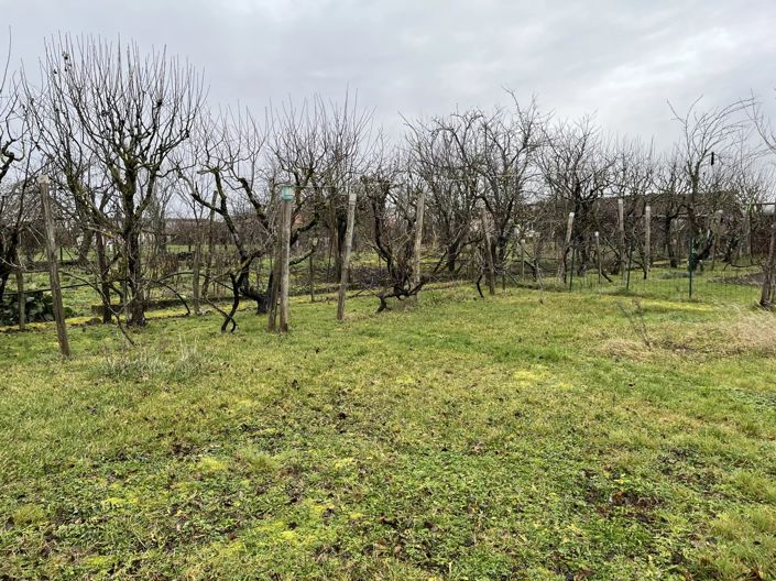 Image No.2-3 Bed House for sale