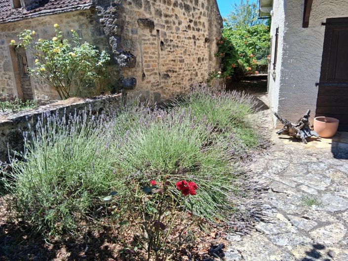 Image No.9-5 Bed House for sale