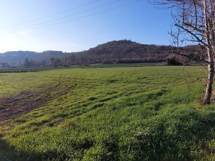 Image No.12-3 Bed House for sale