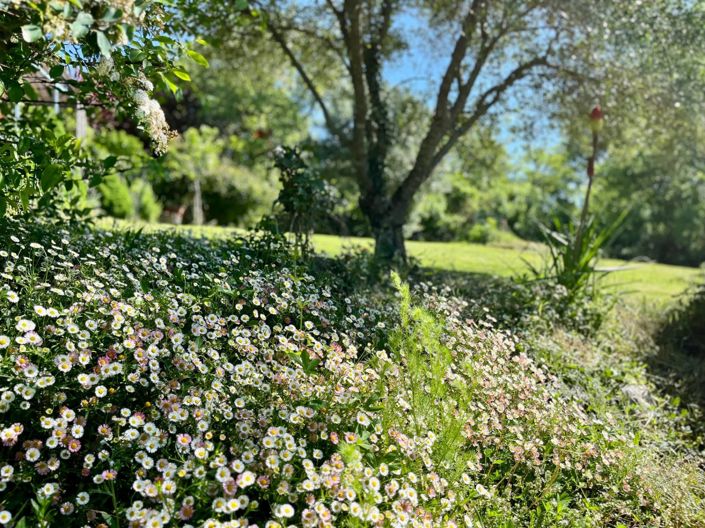 Image No.15-2 Bed House for sale