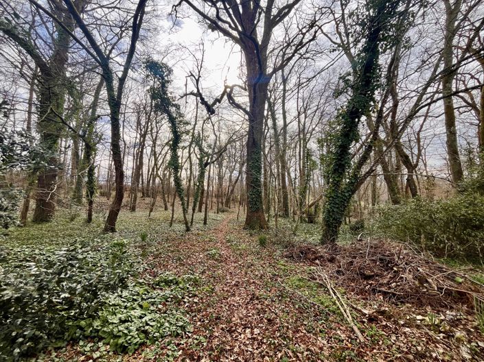 Image No.2-3 Bed House for sale