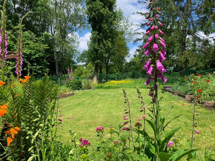 Image No.15-2 Bed House for sale