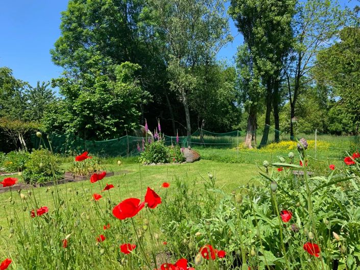 Image No.2-2 Bed House for sale