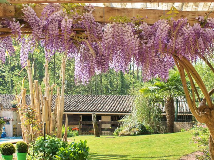 Image No.12-8 Bed House for sale