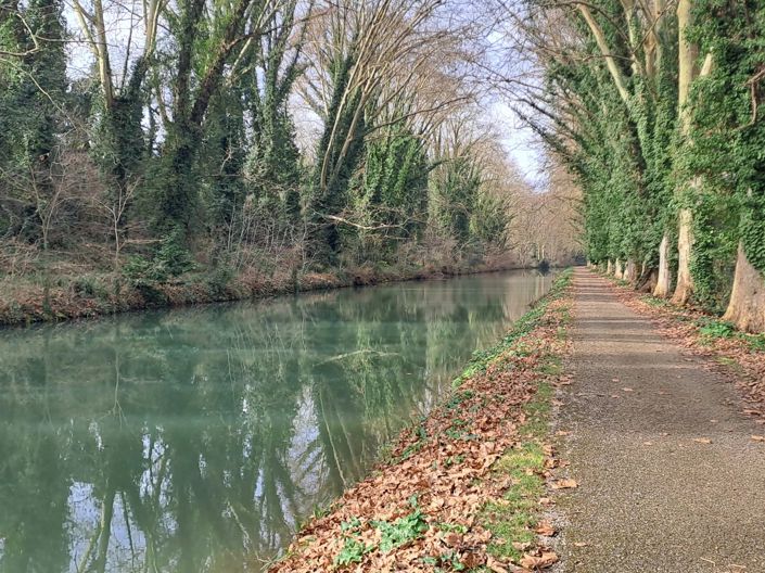 Image No.2-10 Bed House for sale