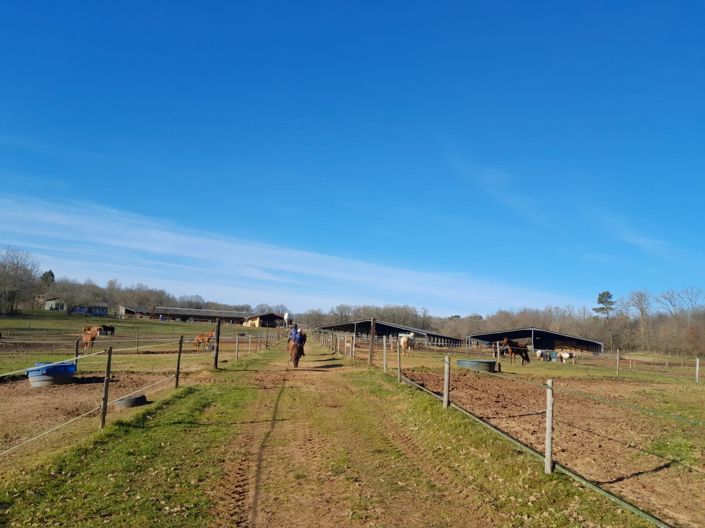 Image No.7-4 Bed House for sale