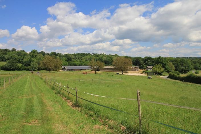 Image No.3-4 Bed House for sale