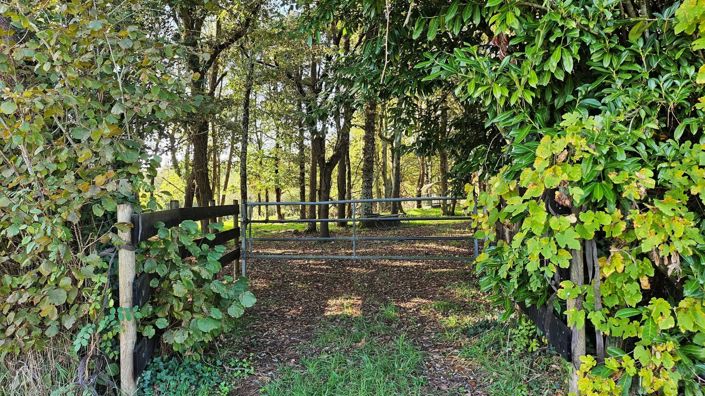 Image No.2-3 Bed House for sale