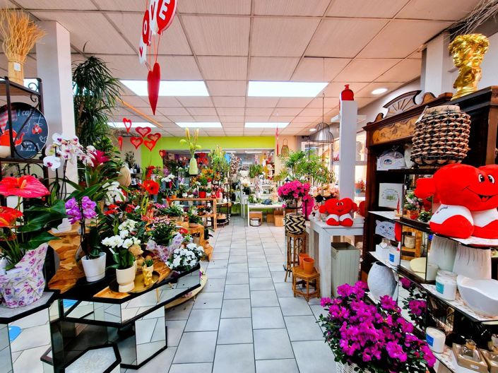 Image No.3-7 Bed Commercial for sale