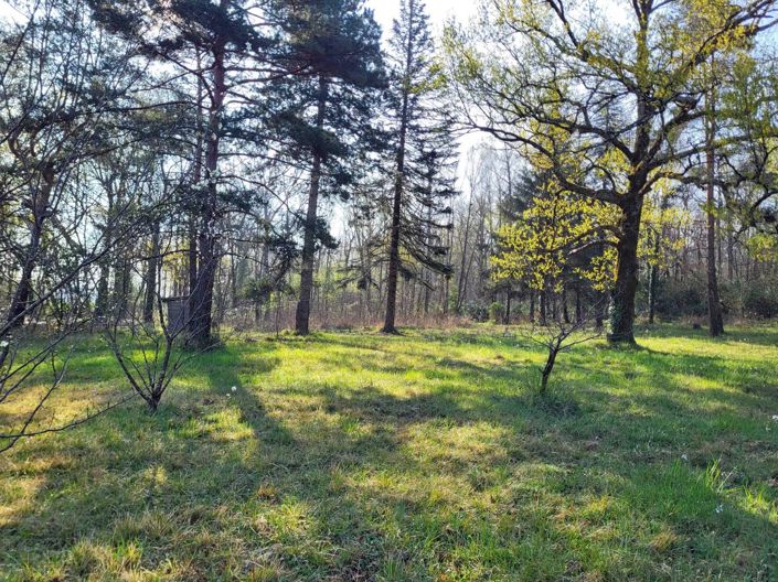 Image No.11-6 Bed House for sale