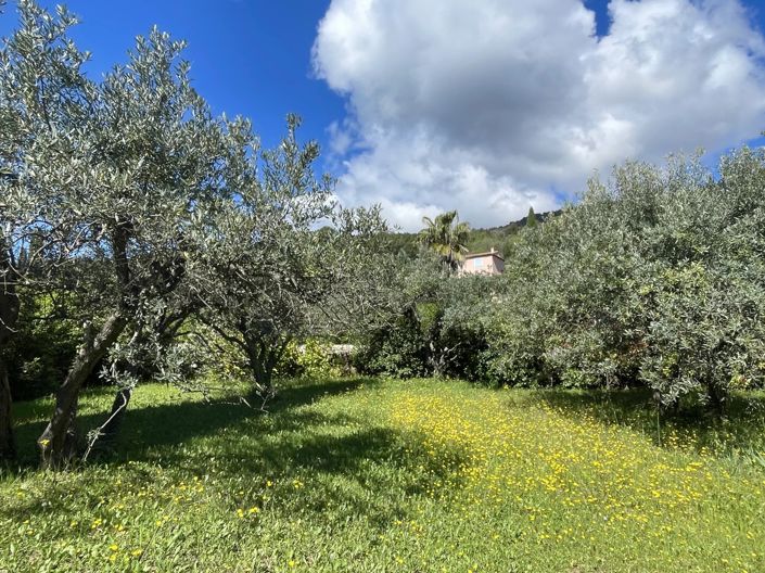 Image No.10-4 Bed House for sale