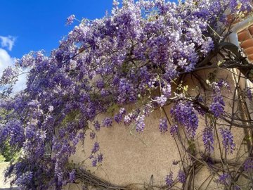 4119b3c5c1a0b32c72f29d0836f367465ee5941959192