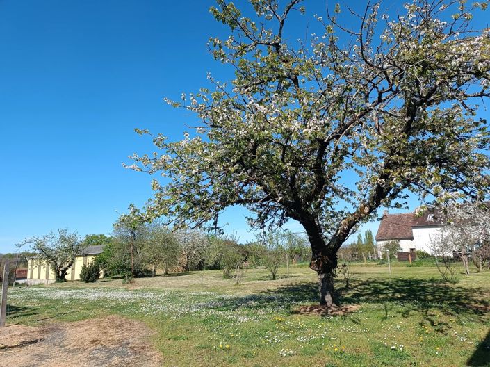 Image No.15-4 Bed House for sale