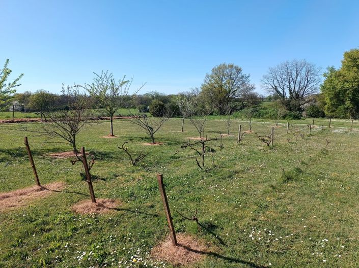 Image No.2-4 Bed House for sale