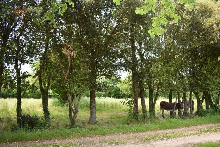 Image No.15-5 Bed House for sale