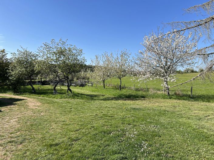 Image No.15-4 Bed House for sale