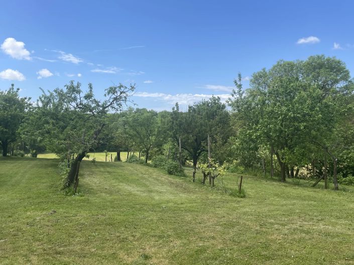 Image No.12-3 Bed House for sale