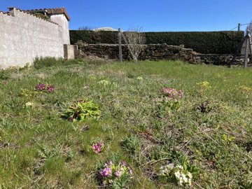 c925b7d27b9fe48e44001162b1fbf03dab986f7369192