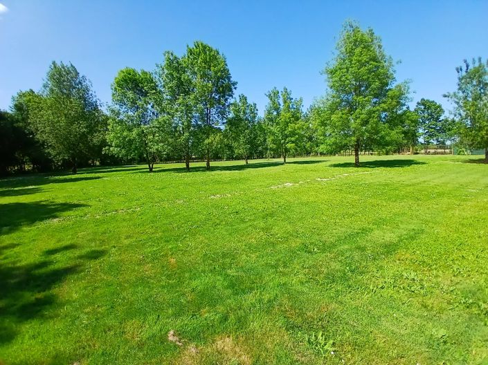 Image No.5-5 Bed House for sale