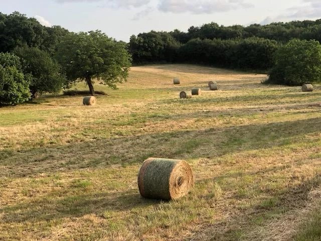 Image No.4-3 Bed House for sale