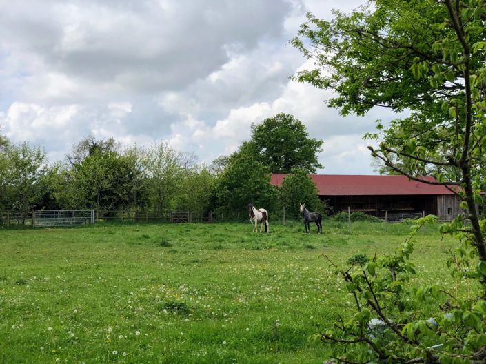 Image No.7-3 Bed House for sale