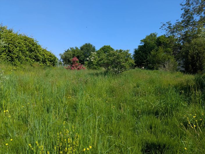 Image No.11-3 Bed Village House for sale