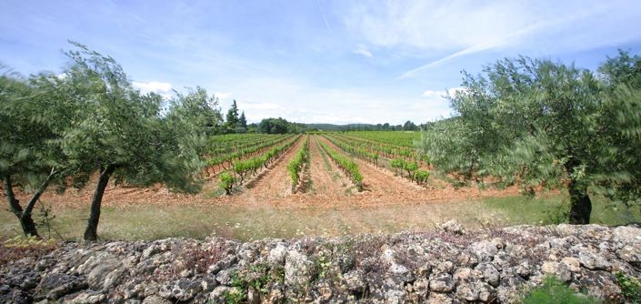 Image No.8-Maison de 8 chambres à vendre à Cotignac