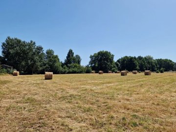 1c9e01130fe5572f64a49d87c9a9596b8a2eec98b1341