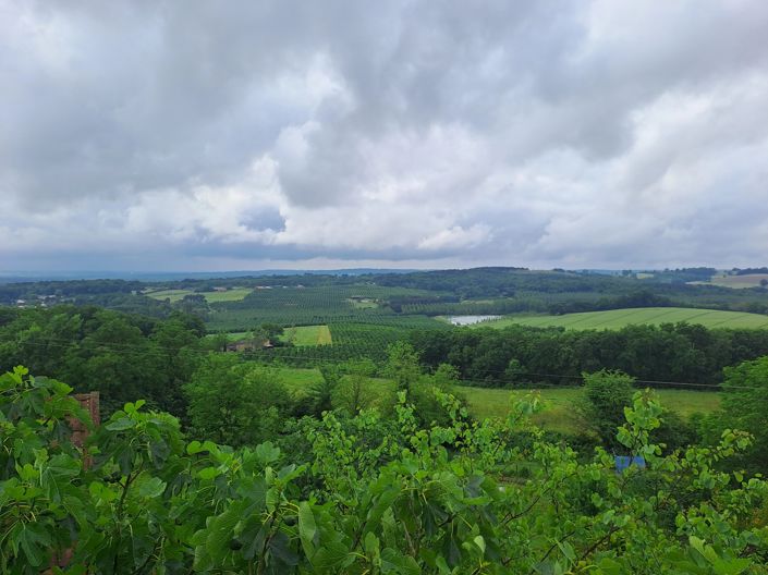 Image No.14-3 Bed House for sale