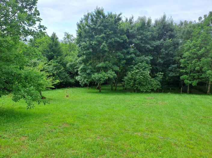 Image No.15-3 Bed House for sale