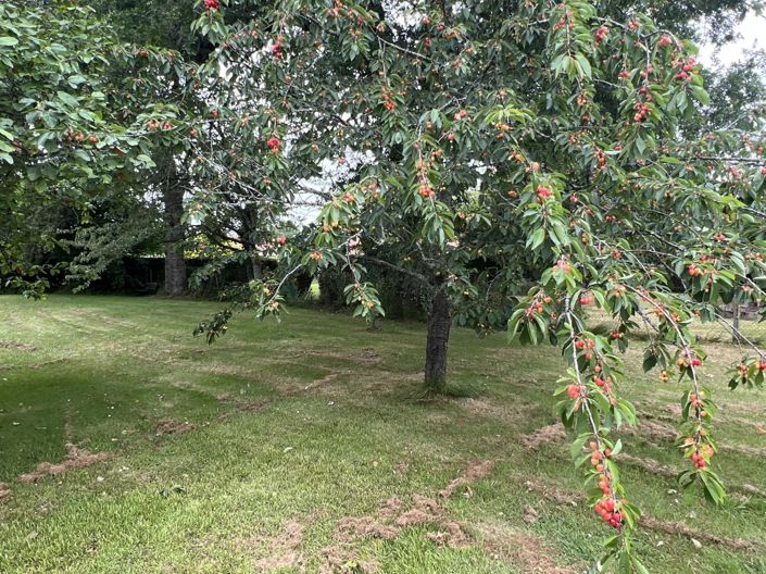 Image No.13-3 Bed House for sale