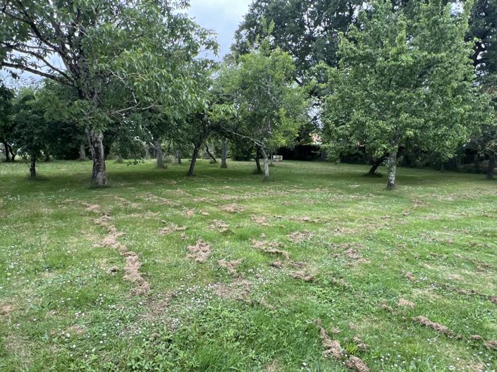 Image No.14-3 Bed House for sale