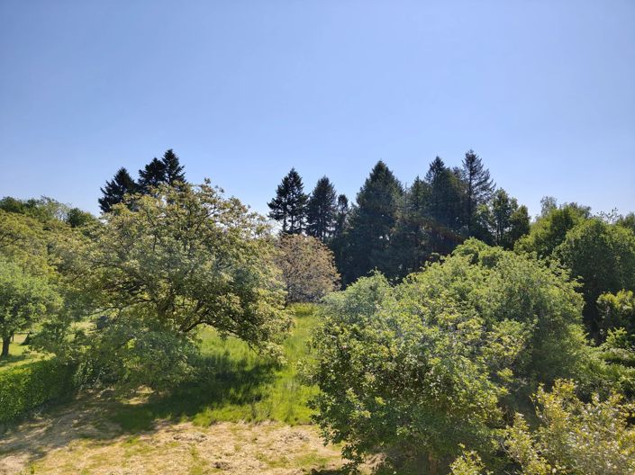 Image No.3-6 Bed House for sale