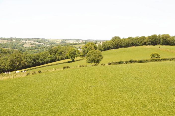 Image No.15-5 Bed House for sale