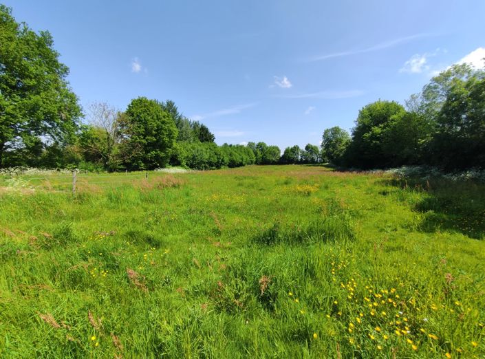 Image No.2-3 Bed House for sale