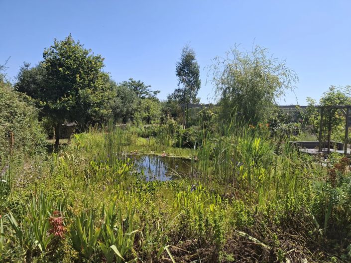 Image No.11-2 Bed House for sale