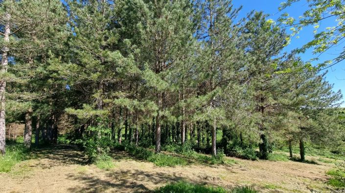 Image No.12-3 Bed House for sale