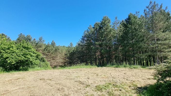 Image No.13-3 Bed House for sale