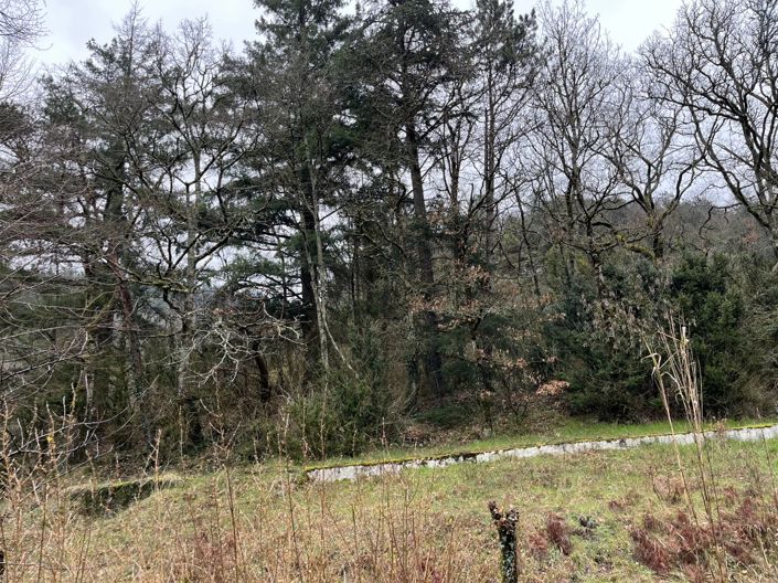 Image No.3-2 Bed House for sale