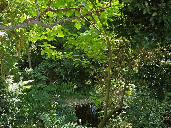 Image No.14-4 Bed House for sale