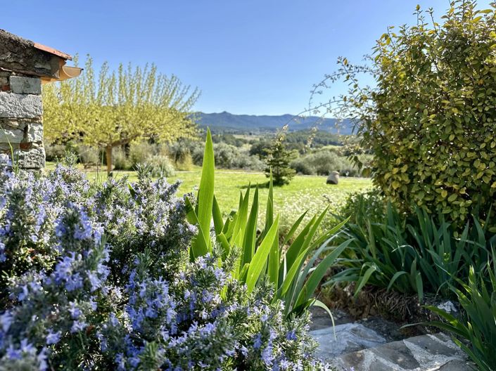 Image No.5-10 Bed House for sale