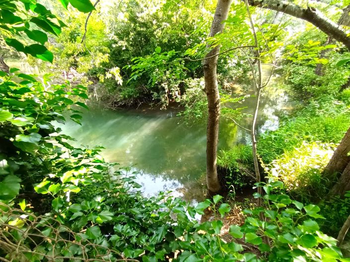 Image No.13-4 Bed House for sale