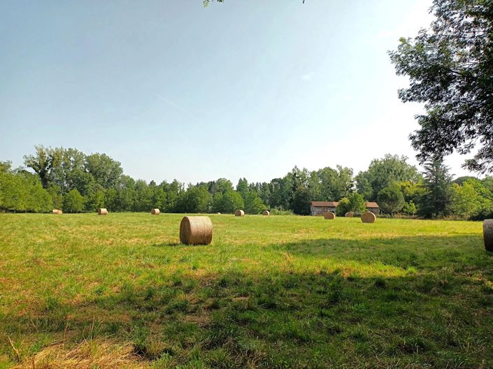 Image No.2-4 Bed House for sale