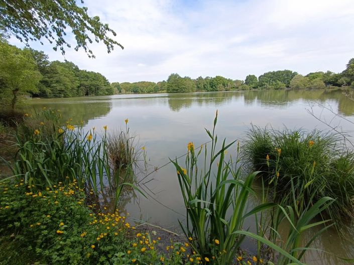 Image No.12-6 Bed House for sale