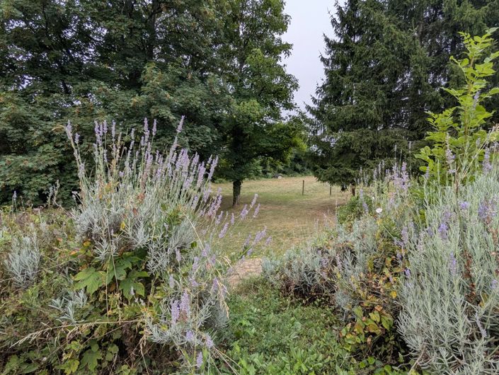 Image No.2-5 Bed Village House for sale